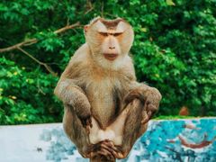 -西霞口神雕山野生动物世界