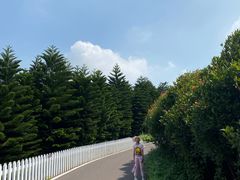 -迪茵湖田家舍生态农场