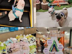 -帕帕拉兹宠物(亚洲旗舰店)