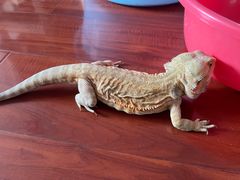 -山城年华老火锅(玉林店)