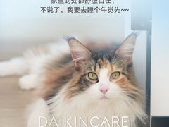 -轰雷舒适家·大金空调·地暖