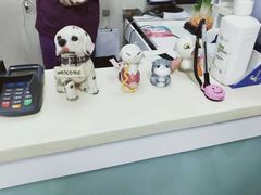 -康成宠物医院24H·CT·核磁共振