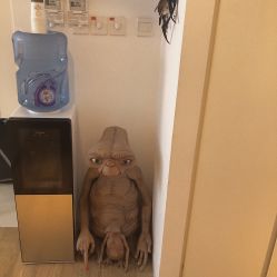 -飛凡TATTOO纹身•原创