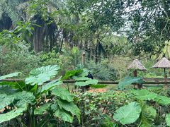 -海南热带野生动植物园