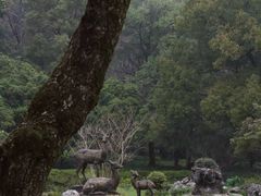 -杭州植物园