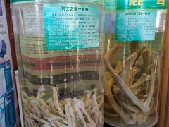 -北京鹿世界主题园