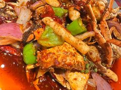 -杨氏青龙虾·羊肉季(金盛路总店)