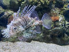 -大连老虎滩海洋公园