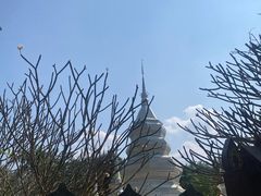 -西双版纳傣族园