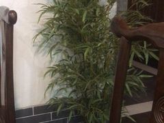 -水韵江南·SPA ·按摩(龙华店)