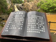 -茅兰沟国家森林公园