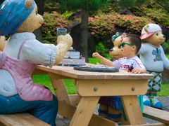 -济州岛泰迪熊博物馆