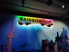 -瑞普利水族馆