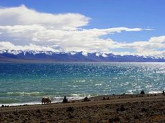 -青海湖国家重点风景名胜区