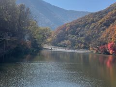 -龙道沟景区