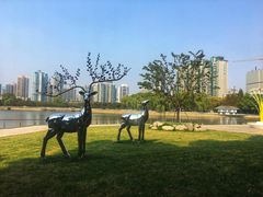 -西北湖绿化广场