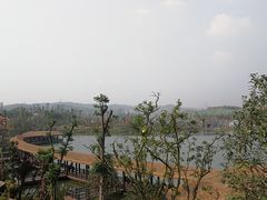 景点-枫香湖儿童公园