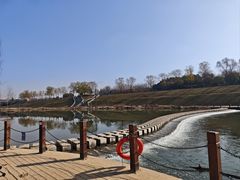 -洨河生态公园