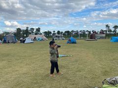 -春花秋色城市公园