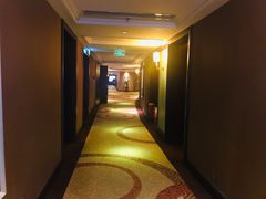 -成都泰合国际大饭店(春熙路太古里店)
