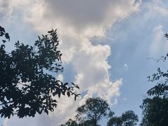 -火炉山森林公园