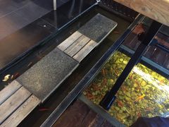 -颐和•海鲜砂锅粥•啫啫煲(奥林匹克广场店)