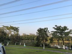 -九里河湿地公园