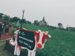 -荷兰花海