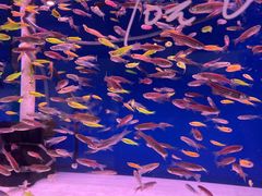 -三旗百汇商品城