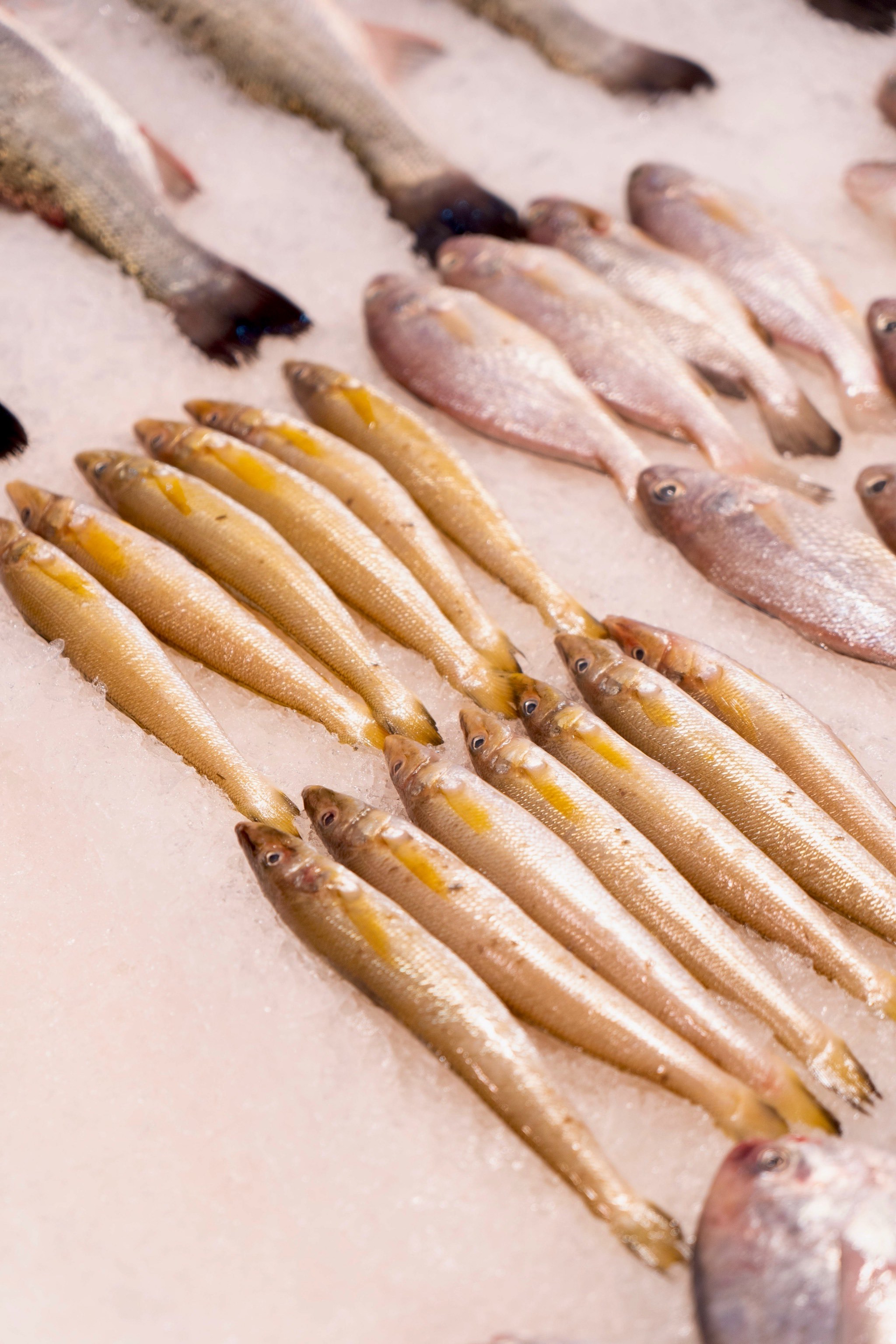 台州温岭地道美食餐厅