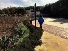 -北京张裕爱斐堡酒庄