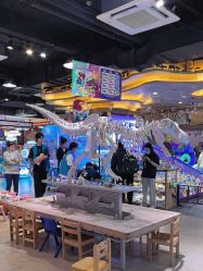 -卡通尼·Safari非洲探索乐园·生日会(金桥国际商业广场店)