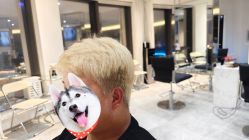 点击看大图 -禾里設計