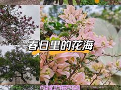 -海珠湖公园