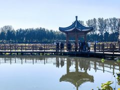 -白洋淀风景区