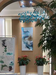 -雅曼妮spa美容养生