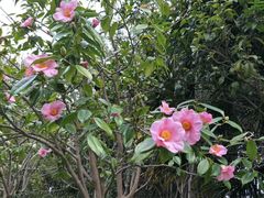 -苏州河梦清园环保主题公园