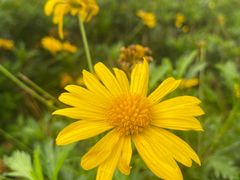 -重庆中央公园(渝北区)