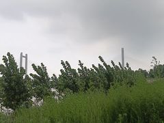 -鲁西南老厨子·特色鲁菜(经一纬五店)