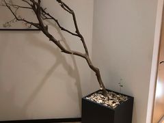 -麦子MaiMassage(打浦桥店)