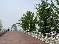 -大兴滨河森林公园