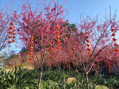 -牛岗山公园