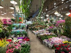 -双季花艺园艺市场(浦东店)