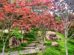 -广州市帽峰山景区