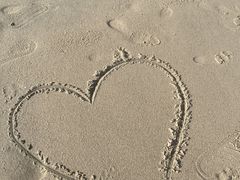 -海角城白海豚浪漫海滩