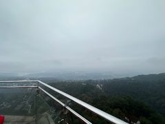 -大金鹰园