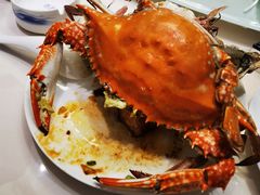 -天天鱼港·海鲜·鲅鱼水饺·招牌烤鸭(黄骅店)