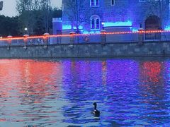 -郑州方特梦幻王国