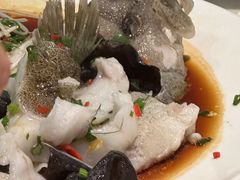-九號渔港·蒸汽海鲜·粤菜茶点(八卦岭店)