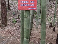 -仙岛湖旅游风景区